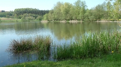 Naturschutzgebiet am Igelsbachsee
